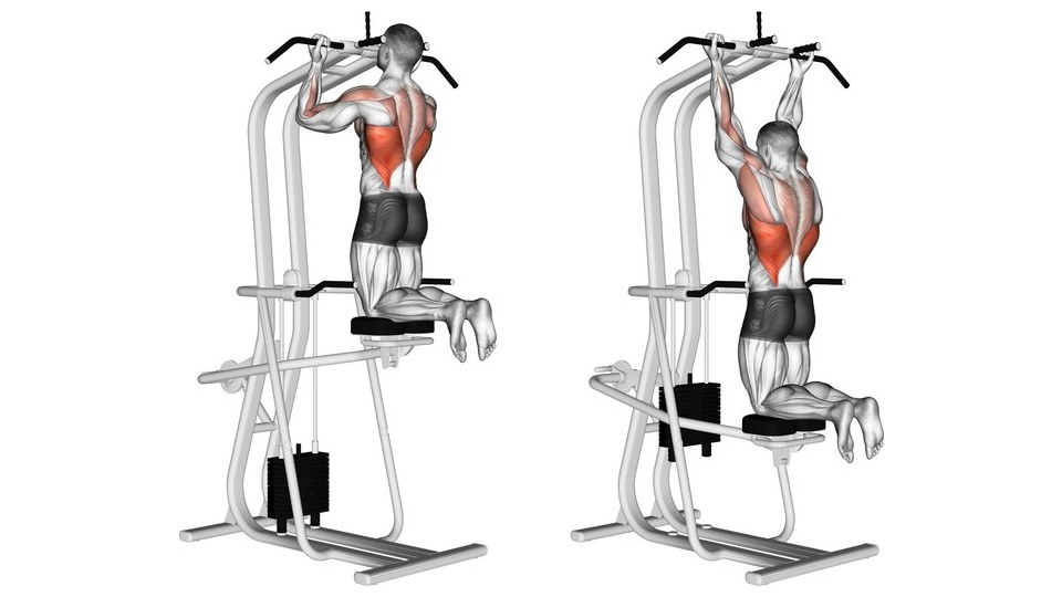 To anatomiske illustrationer bagfra af en mand på en assisteret chin-up-maskine med modvægt på hvid baggrund. Til venstre knæler han på den sorte støttepude tæt på toppositionen, med bøjede albuer langs kroppen og hagen nær de vinklede håndtag i underhåndsgreb. Til højre er pude og krop længere nede, armene strakte over hovedet og begge knæ stadig på puden. Sølvrammen og den sorte vægtstak ses i begge billeder; rygsiderne, øvre og midterste ryg omkring skulderbladene, bagsiden af skuldrene og dele af over- og underarmene er markeret rødt, mens underkroppen ikke er markeret.