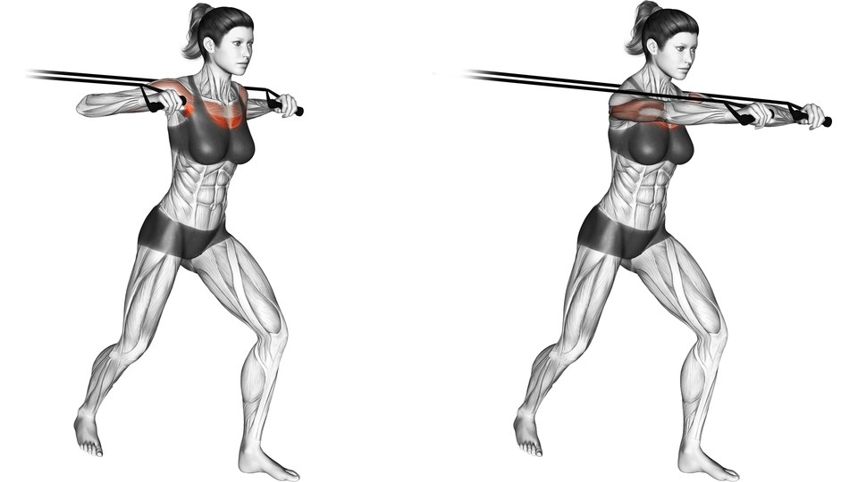 Female anatomical model pressing two band handles forward from a split stance, with chest, shoulder and upper-arm muscles shaded red.