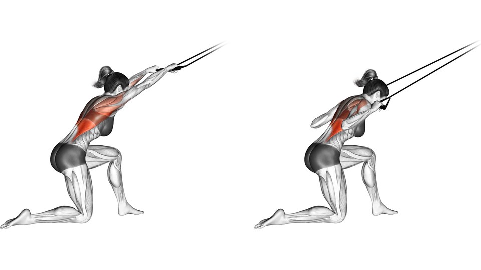 Female anatomical model performing a half-kneeling band pulldown in two frames, with the back muscles shaded red.