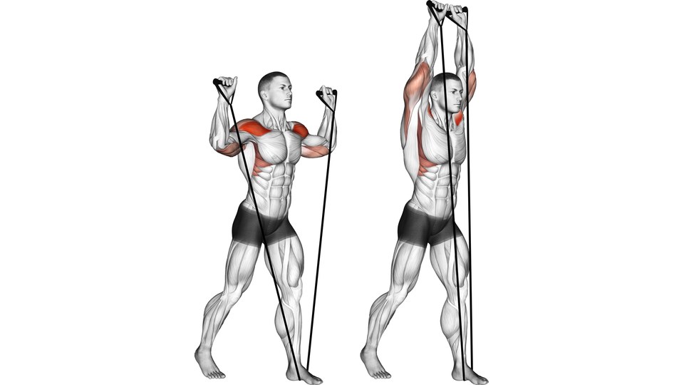 Male anatomical model pressing two band handles overhead from a staggered stance, with shoulder and triceps regions shaded red.