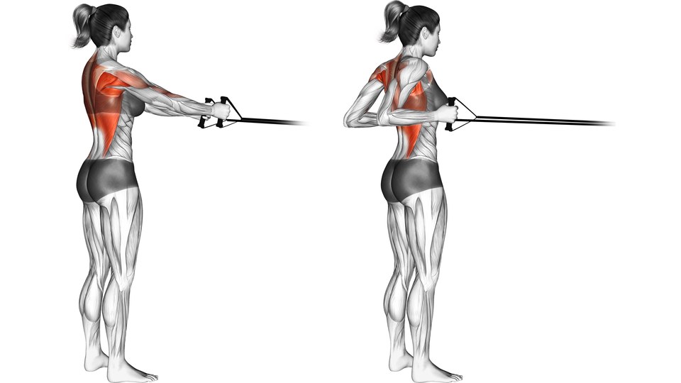 Anatomická ilustrace ženy při přítazích gumy ve stoje ve dvou polohách, se zádovými svaly zvýrazněnými červeně.