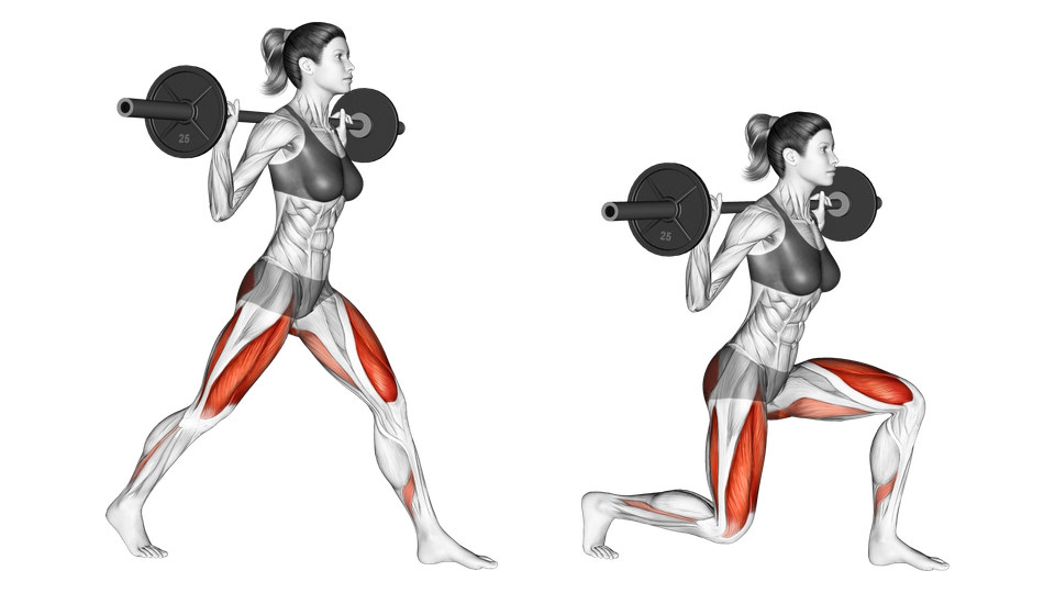 Side-view anatomical illustration of a weighted barbell split squat in the start and bottom positions, with both feet on the floor and the thighs and glutes highlighted.