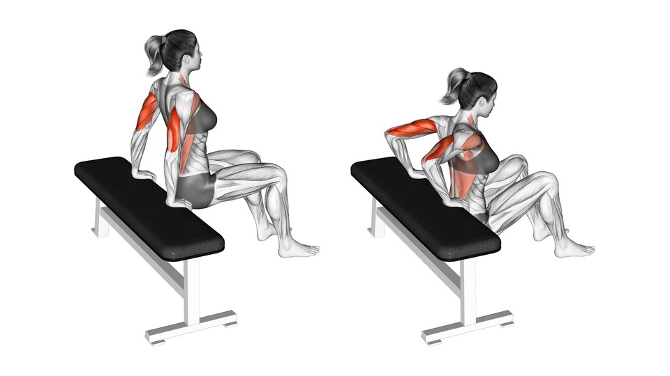 Anatomical illustration of a bent-knee bench dip at the top and bottom positions, with the triceps and front shoulder highlighted.
