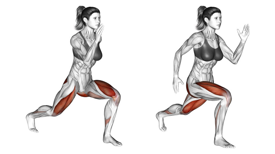 Anatomical illustration of a bodyweight split squat in two lowered positions with both feet on the floor, with the thighs and glutes highlighted.