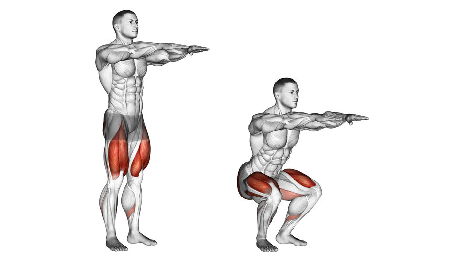 Two-frame anatomical illustration of a bodyweight squat on a white background. On the left, a man stands with his feet a little wider than his hips, toes turned slightly out and both arms extended forward at shoulder height. On the right, the same man is in a deep squat with his heels planted, knees bent outward over his feet, hips below his knees and torso leaning forward while his arms remain extended. No equipment or external weight is shown. The quadriceps, glute area, inner thighs and part of the lower legs are highlighted red.
