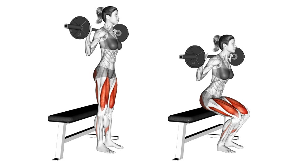 Anatomical illustration of a woman performing a barbell box squat to a flat bench, shown standing and seated, with the quadriceps and glutes highlighted.