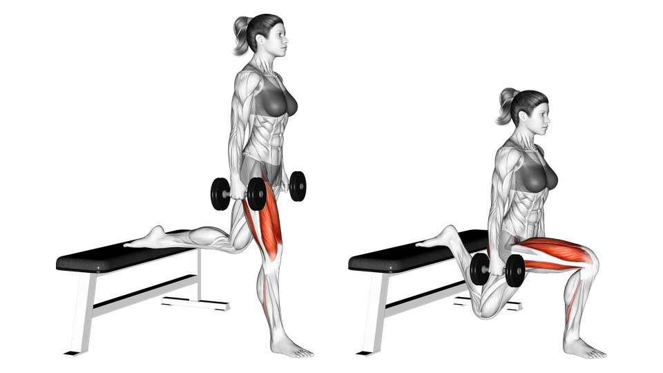 Anatomical illustration of a woman performing a dumbbell Bulgarian split squat with her rear foot on a bench and front thigh muscles highlighted.