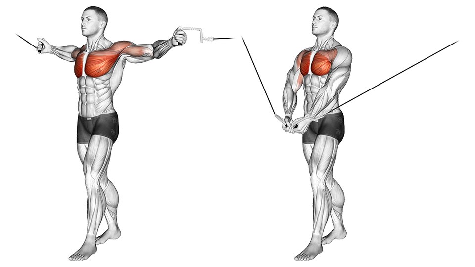 Dos imágenes de un cruce de poleas de pie, una al lado de la otra. Una figura musculosa está en posición de zancada, con un pie adelantado y apoyado por completo y el talón trasero levantado, el torso erguido, sujetando un asa en cada mano. La máquina en sí no está dibujada: cada cable sale hacia arriba y desaparece fuera del encuadre, de modo que las dos poleas altas quedan implícitas en lugar de mostrarse, y no hay ningún poste ni torre de discos en la imagen. En la imagen de la izquierda los brazos están abiertos a la altura de los hombros, con los cables tensos y los codos ligeramente flexionados. En la imagen de la derecha los brazos han bajado y avanzado describiendo un arco amplio, de modo que las dos asas se juntan por delante de las caderas, con la flexión del codo sin cambios. El pecho aparece sombreado en rojo en las dos imágenes, cubriendo todo el pectoral y no solo una porción superior o inferior; el resto del cuerpo está dibujado en gris.