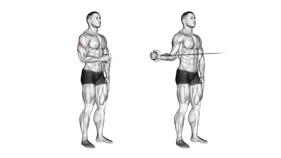 Two anatomical views of a man standing with one elbow bent beside his ribs, turning a cable handle outward; the back of the working shoulder is shaded red.
