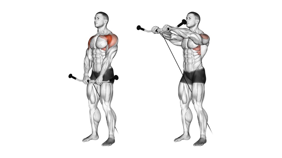 Anatomical illustration of a man raising a cable bar from his thighs to shoulder height, with the front of the shoulders highlighted.