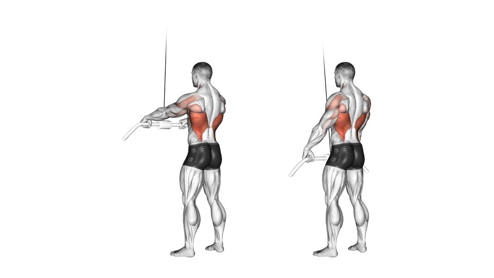 Anatomisk illustration bagfra af en mand, der trækker en stang i et højt kabel fra skulderhøjde til lårene med næsten strakte arme, med lats og bagsiden af skuldrene markeret.