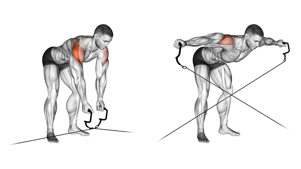 Ilustración anatómica de aperturas inversas en polea con el torso inclinado antes y después de abrir las asas, con los hombros posteriores resaltados.