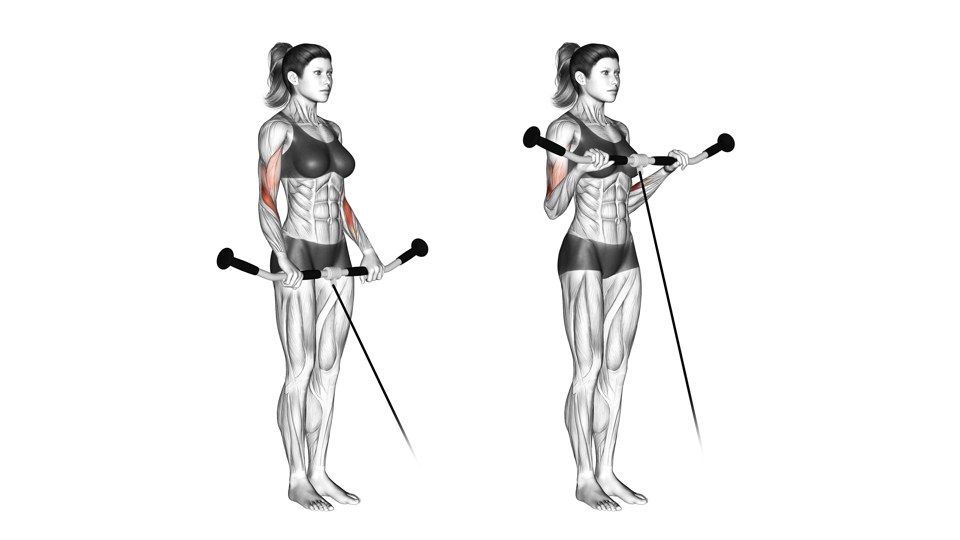 Dva anatomické pohledy na stojící ženu při zdvihu zalomeného adaptéru kladky s dlaněmi dolů; nadloktí a předloktí jsou zvýrazněna červeně.
