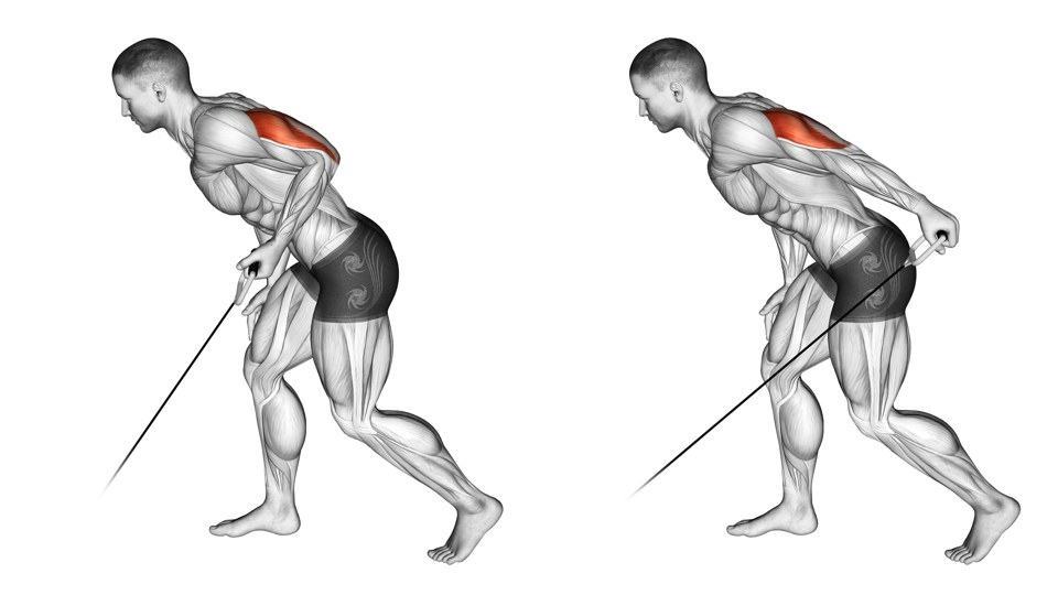 Two side views of a man in a staggered stance and forward hinge, extending a low-cable handle behind him while the free hand rests on his thigh; the triceps are shaded red.