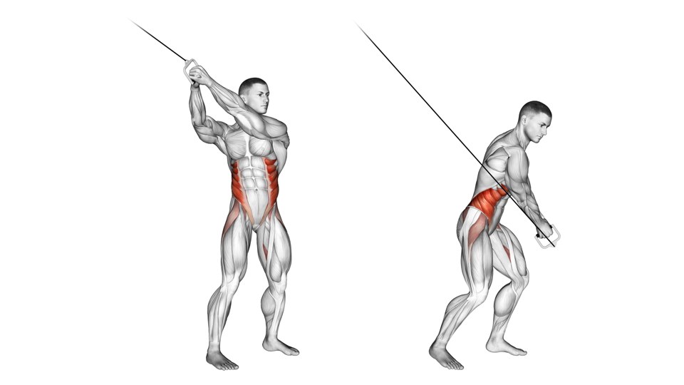 Anatomical illustration of a standing cable wood chop in two frames, with both hands moving one handle from above a shoulder down across the body and the side abdominal muscles highlighted.