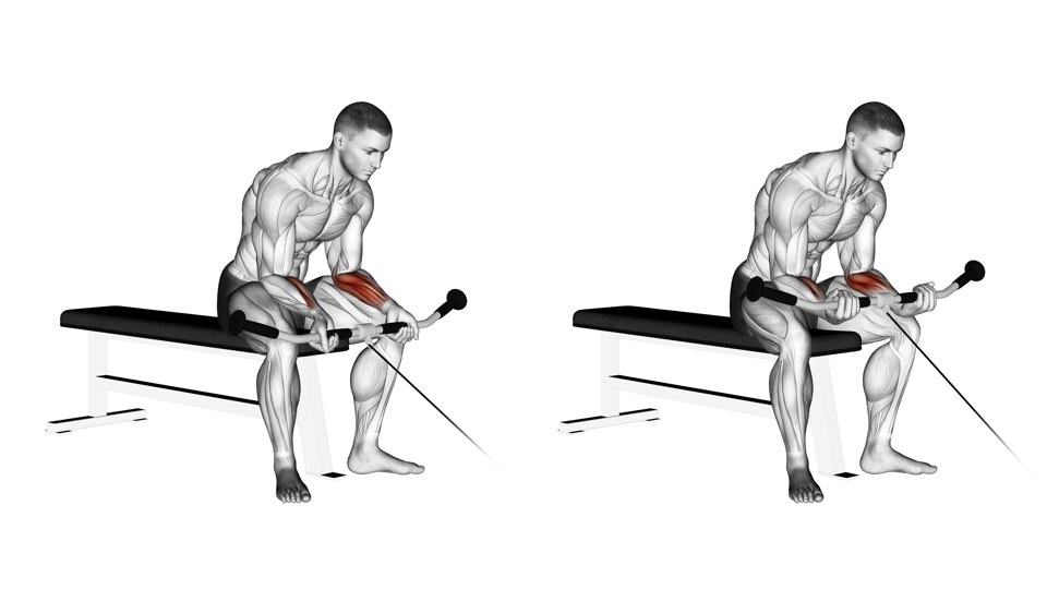 Two anatomical views of a man seated on a bench with forearms resting on his thighs, curling a low-cable bar with palms up; forearm flexors are shaded red.