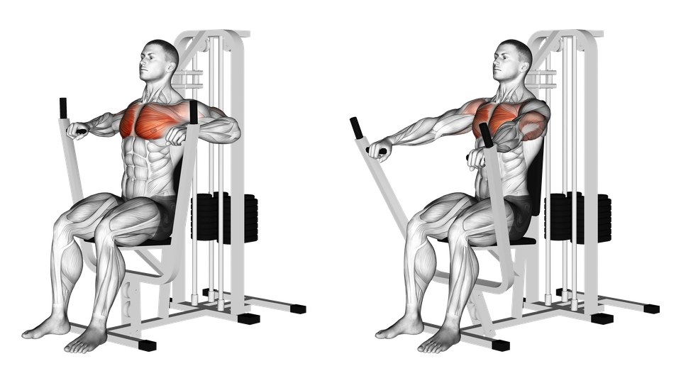 Anatomical illustration of a seated machine chest press at the bent-arm and extended-arm positions, with the chest, front shoulders and triceps highlighted.