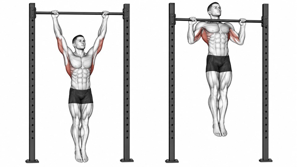Exercise illustration: Straight-arm hang and upper chest at the bar; legs stay together.