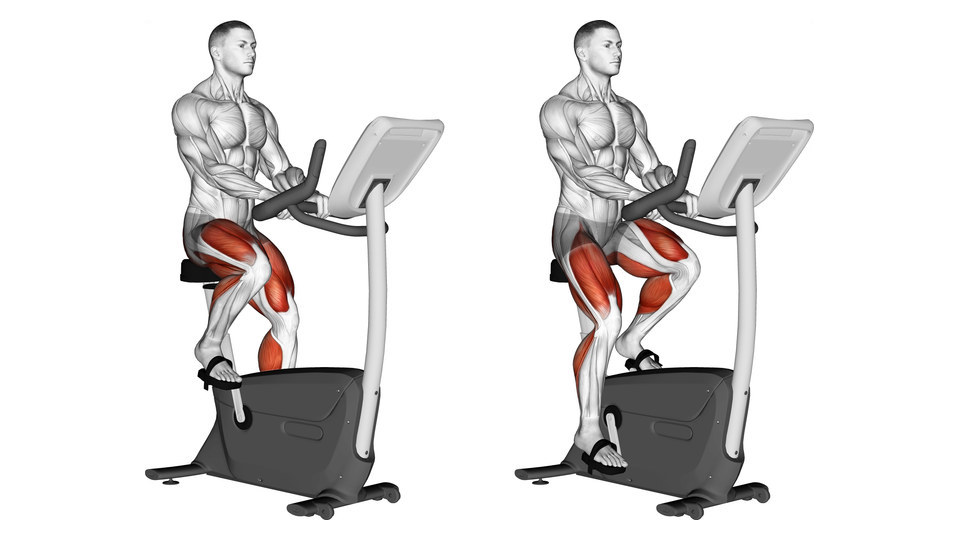 To anatomiske sidebilleder af den samme mand på en opret motionscykel mod hvid baggrund. Han sidder i begge billeder med opret overkrop, hænderne om det faste styr og hver fod holdt på en pedal med en rem. I det ene billede er det nærmeste knæ bøjet og pedalen fremme og højt; i det andet er benet næsten strakt og pedalen fremme og lavt. Hele cyklen ses, inklusive sadel, krank, stel, styr og konsol. Forsiden og ydersiden af lårene samt dele af læggene er markeret med rødt; balder, hamstrings, skinnebensmuskler og overkrop er ikke markeret.