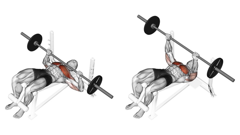 Anatomical illustration of a man performing a barbell press on a decline bench in two frames, with the chest and front of the upper arms highlighted.