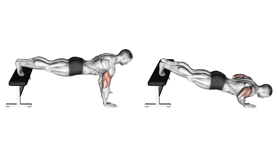 Anatomisk illustration i to sidebilleder af en mand, der laver armbøjning med fødderne på en flad bænk og hænderne på gulvet, fra strakte arme til brystet sænket mellem hænderne, med bryst, forreste skuldre og triceps markeret.