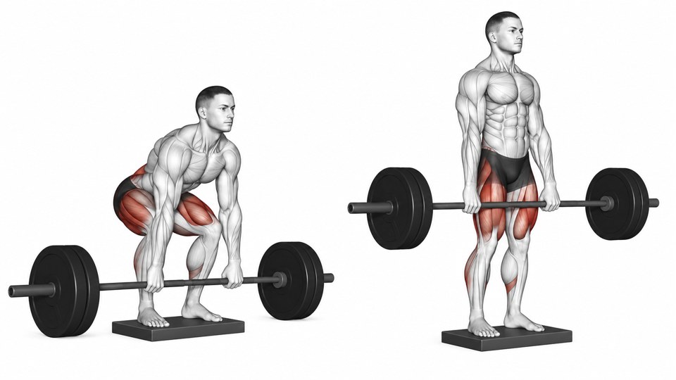 Exercise illustration: Both feet on a low stable platform, plates outside it on the floor, then standing lockout.