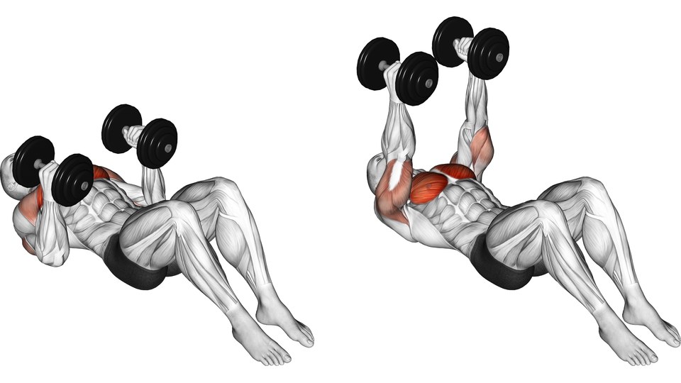 Two angled views of a person lying on the floor with knees bent, pressing two dumbbells with palms facing each other. The left view shows bent elbows and the right shows extended arms, with chest, shoulders and upper arms highlighted.