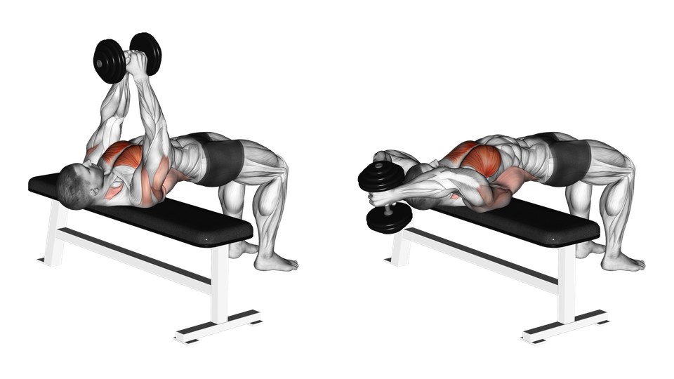 Anatomical illustration of a man lying lengthwise on a flat bench and moving one dumbbell from above the chest to behind the head, with the chest highlighted.