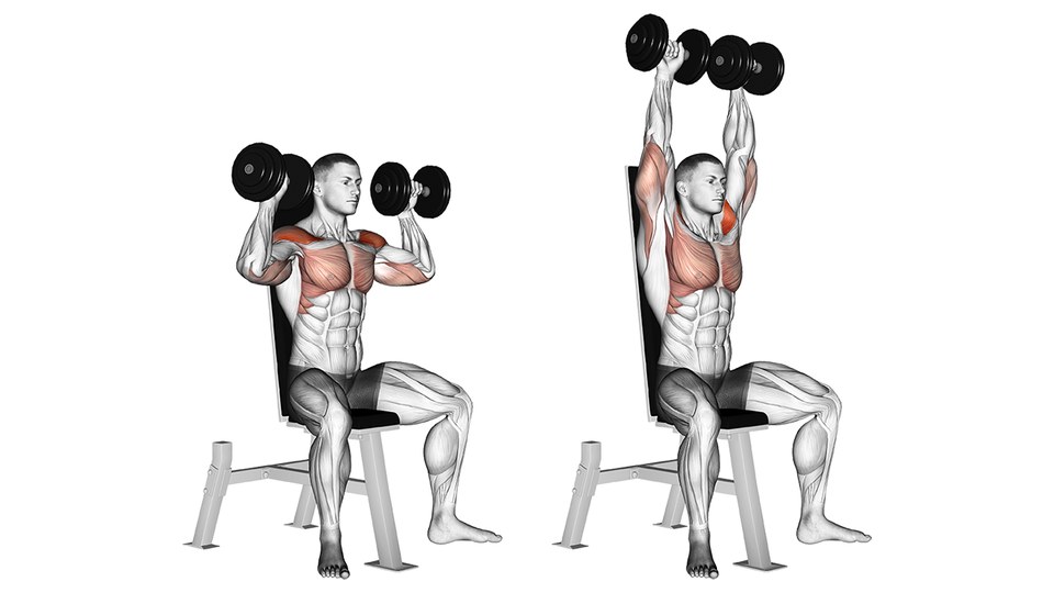 Two-frame anatomical illustration of a seated dumbbell shoulder press. A muscled figure sits on a bench with the back pad upright, feet flat on the floor, holding a dumbbell in each hand with the palms facing forward. In the left frame the dumbbells are at shoulder height, elbows bent and out to the sides. In the right frame the arms are pressed to straight overhead, the dumbbells almost touching above the head. The shoulders and the chest are shaded orange in both frames; in the overhead frame the shading extends down the upper arms as well. The legs, torso and bench are left grey.