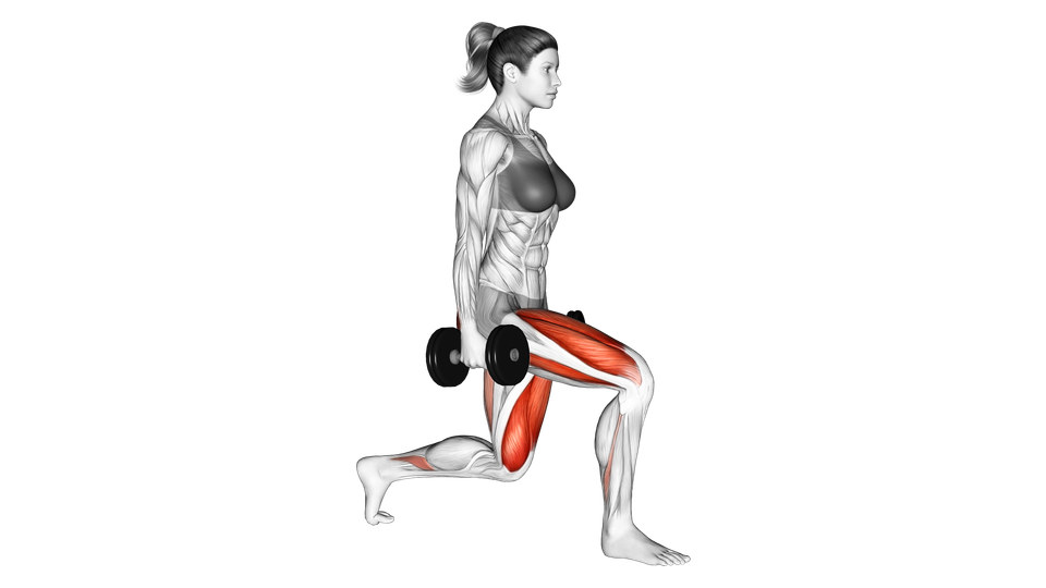 Side-view anatomical illustration of the bottom position of a dumbbell split squat, with a dumbbell held at each side, both feet on the floor and the thigh muscles highlighted.