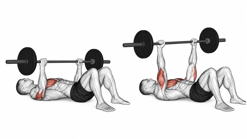 Exercise illustration: Supine floor press with upper arms on the floor at the bottom and arms extended at the top.