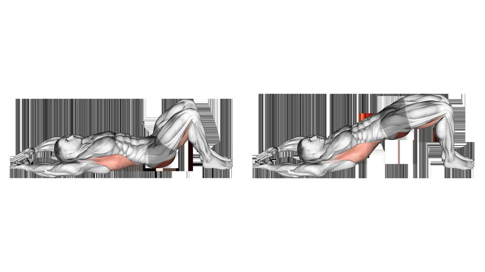 Anatomical illustration of a bodyweight glute bridge shown lying down and with the hips raised, with the gluteal region highlighted.