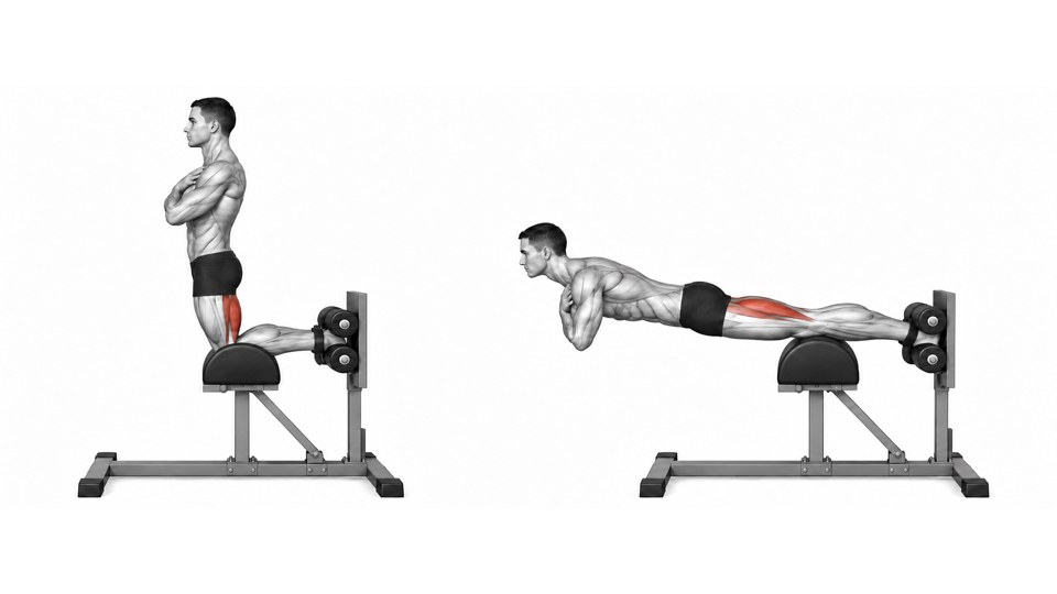 Two side views of a man on a glute-ham developer, upright on bent knees on the left and lowered horizontally on the right. His arms are crossed, ankles held between rollers, and the hamstrings are shaded red.