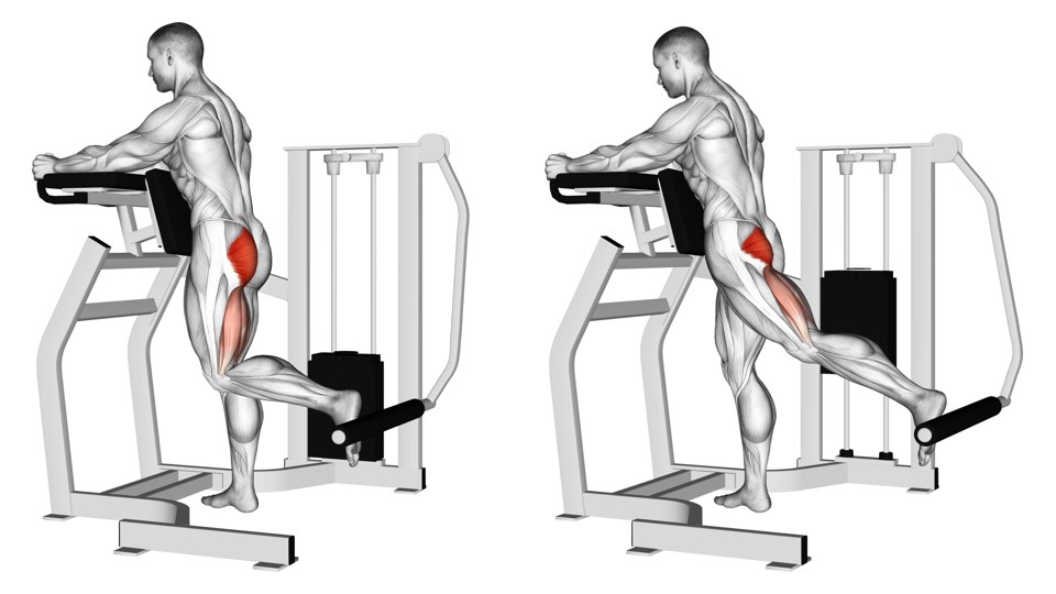 Two side views of a man using a standing glute machine with torso and forearm pads, one planted foot and a padded lever against the other lower leg. The working leg moves backward between frames, with the gluteal region shaded red.