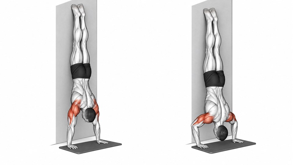 Exercise illustration: Wall-supported handstand and bent-arm bottom with the head at the mat.