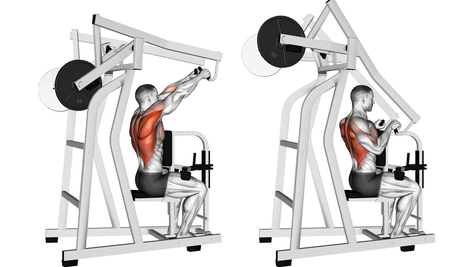 Anatomical illustration of a plate-loaded high row at the overhead reach and pulled position, with the upper back highlighted.