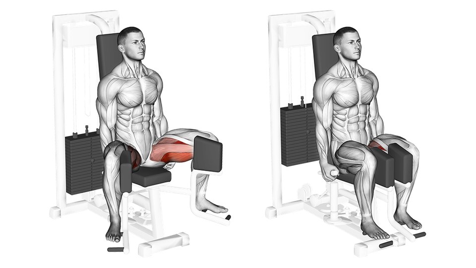 Anatomical illustration of a woman bringing her legs together on a seated hip adduction machine, with the inner thighs highlighted.