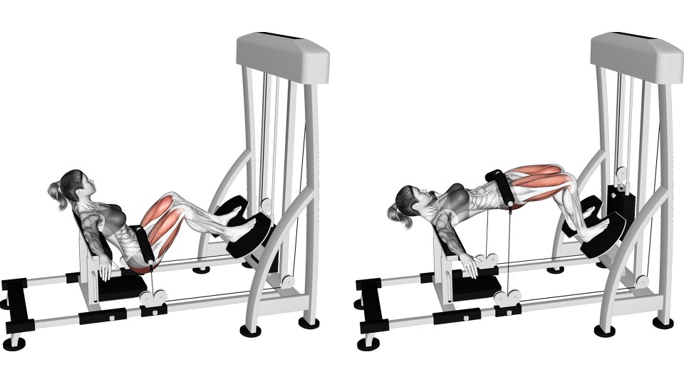 Anatomical illustration of a hip thrust machine at the lowered and raised positions, with the glutes highlighted.