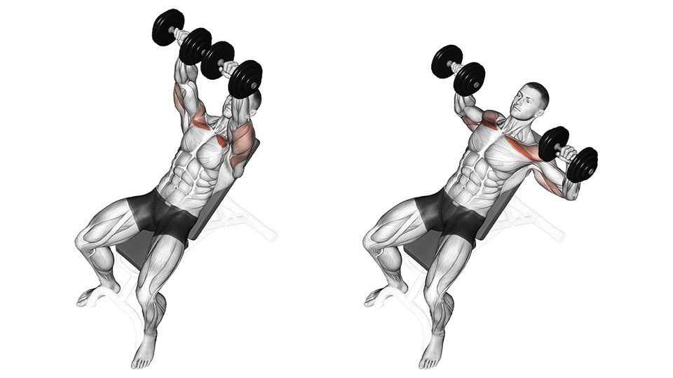 Illustrazione anatomica di un uomo che spinge due manubri sdraiato su una panca inclinata a circa quarantacinque gradi, mostrata due volte affiancata su sfondo bianco. Nell'immagine di sinistra le braccia sono distese sopra la testa e i due manubri quasi si toccano. In quella di destra è al punto più basso della ripetizione, con i manubri all'altezza del petto e i gomiti aperti rispetto al busto, palmi rivolti in avanti. I muscoli del petto e la parte anteriore della spalla sono colorati d'arancione in entrambe le immagini, più intensamente nella parte alta del petto, dalla clavicola verso la spalla; il resto del corpo resta bianco. Il retro del braccio non è evidenziato. L'inclinazione della panca, la posizione dei gomiti e la presa con i palmi in avanti mostrate sono una possibilità tra tante, non il modo obbligato di eseguire il movimento.