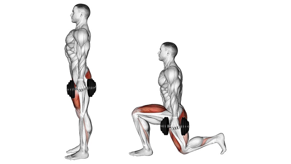 Two frames of an anatomical illustration of a dumbbell lunge, side by side on a white background, both seen in profile. On the left the figure stands upright with a dumbbell hanging in each hand at his sides, feet together, the quadriceps shaded red down the front of the thigh and a narrower red strip running down the front of the shin. On the right he is at the bottom of the rep: front knee bent to about a right angle with the shin near vertical, back leg trailing behind with the back knee just above the floor and the heel lifted, torso upright, dumbbells still hanging at his sides. The red shading there covers the quadriceps of both the leading and the trailing thigh. The buttock is in view at this angle and is not shaded.