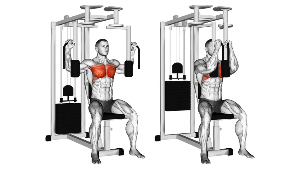 Anatomical illustration of a seated pec deck fly before and after the arm pads move together, with the chest highlighted.