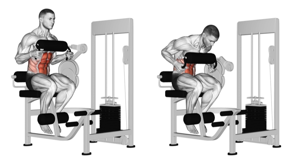 Anatomical illustration of a man performing a seated crunch against a padded selectorized machine in two frames, with the abdominal muscles highlighted.