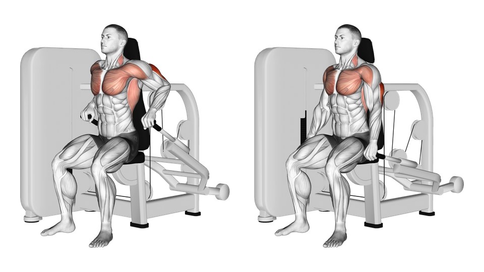 Anatomical illustration of a man pressing the handles down on a seated dip machine, with the triceps, chest and front shoulders highlighted.