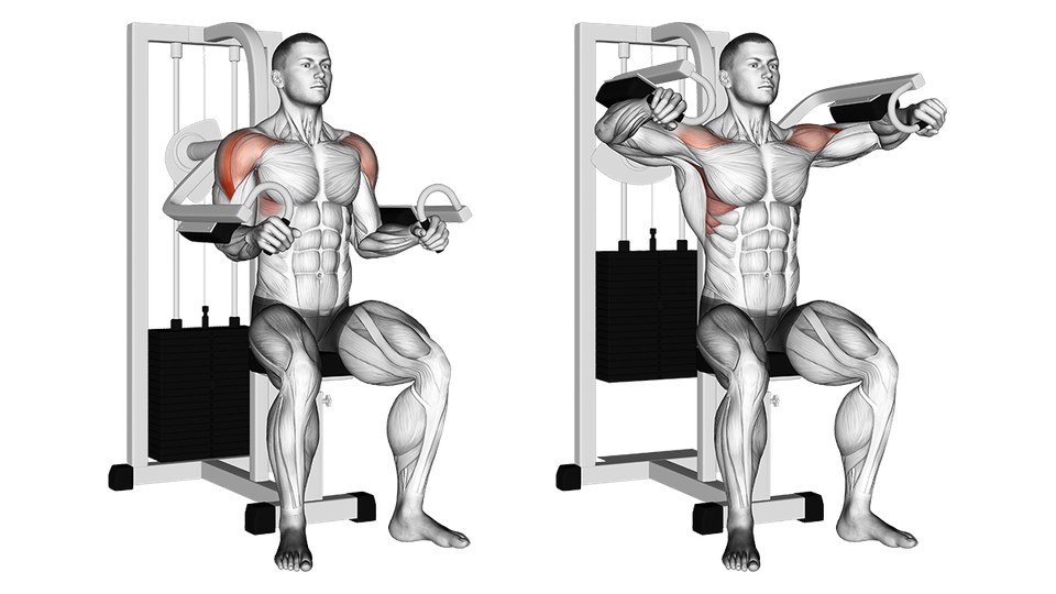 Anatomical illustration of a man raising his upper arms on a seated lateral raise machine, with the shoulders highlighted.