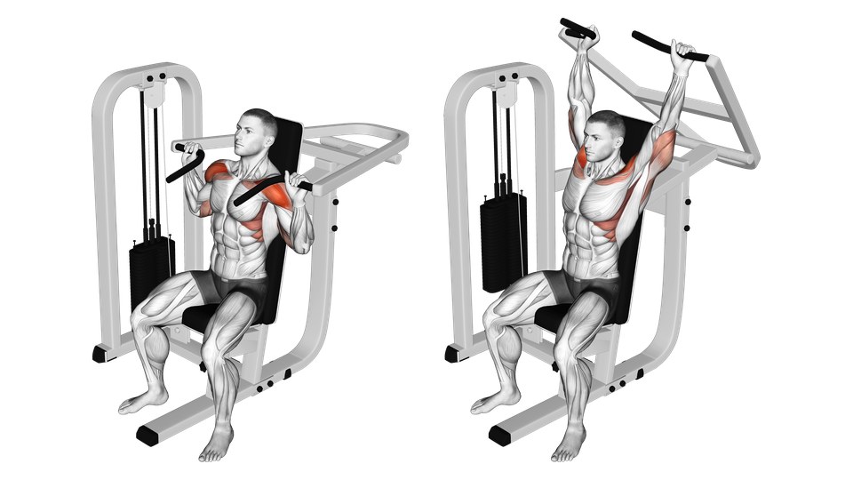 Anatomical illustration of a seated machine shoulder press shown at the bottom and overhead positions, with the shoulders and triceps highlighted.