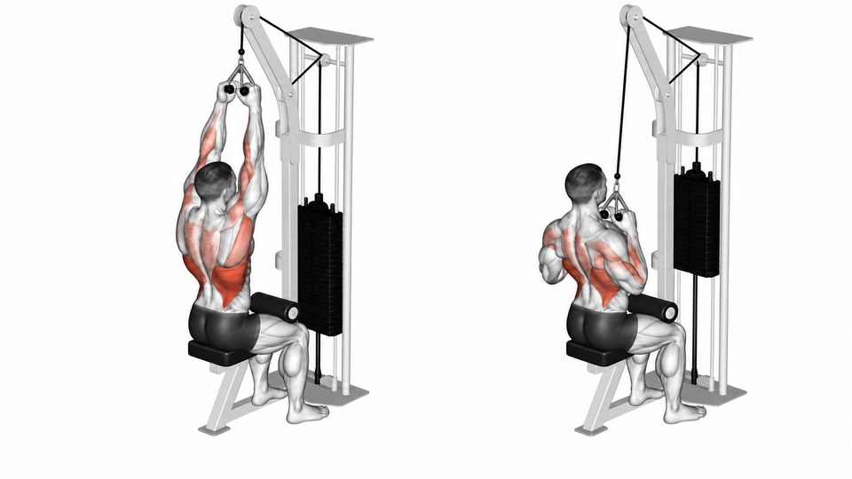 Anatomical illustration of a seated neutral-grip lat pulldown, with a close parallel handle overhead on the left and near the upper chest on the right.