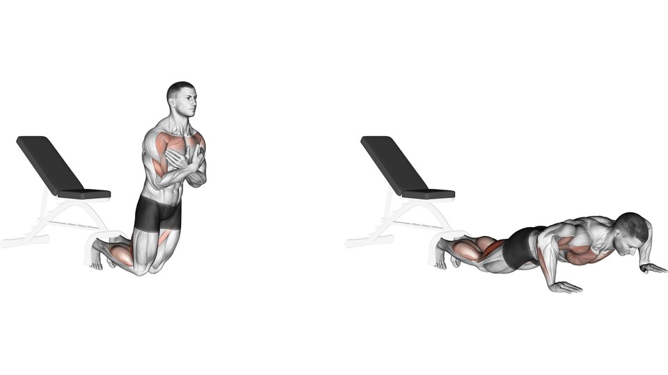 Anatomical illustration of a man kneeling with his ankles beneath a bench support, first upright and then leaning forward with his hands on the floor.