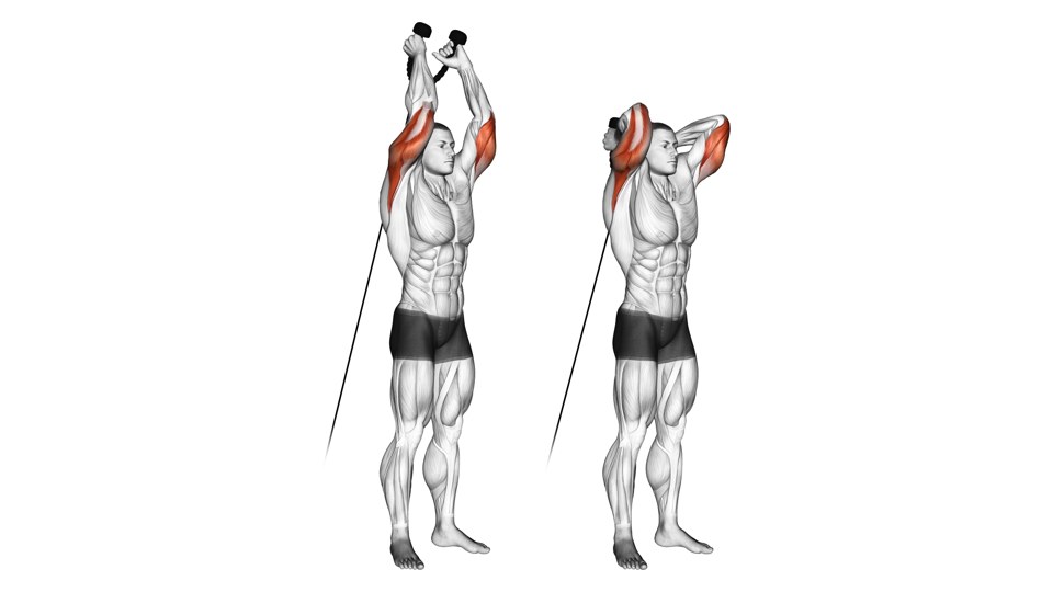 Anatomical illustration of a man performing a standing low-pulley rope overhead triceps extension, with his hands above his head in one frame and behind it in the other, and the triceps highlighted.