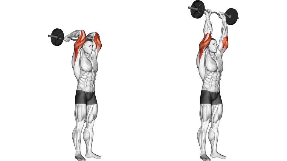 Anatomisk illustration i to billeder af en mand, der laver stående overhead tricepsekstension med EZ-stang, med triceps markeret med rødt.