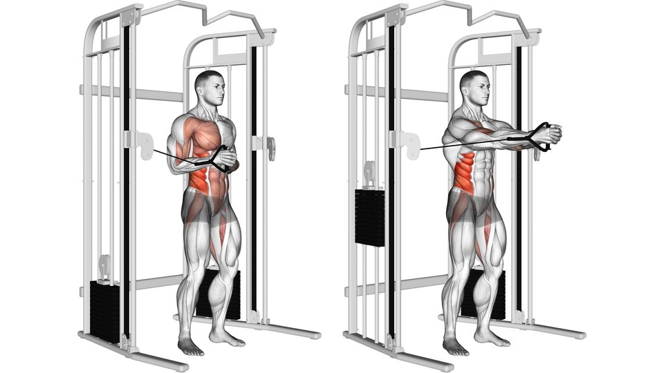 Anatomická ilustrace muže stojícího bokem ke kladce, nejprve s madlem u hrudníku a potom s oběma pažemi nataženými vpřed, se zvýrazněným břichem.